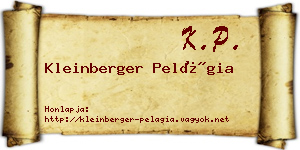 Kleinberger Pelágia névjegykártya